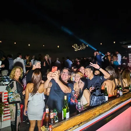 Gatto Blanco Party Hotel-2